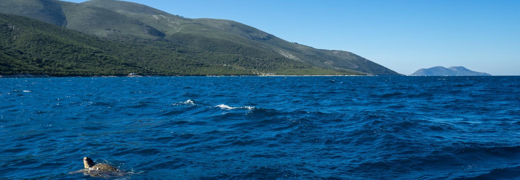 Albania | Climate Promise